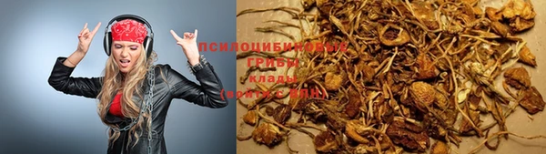 мет Алексин